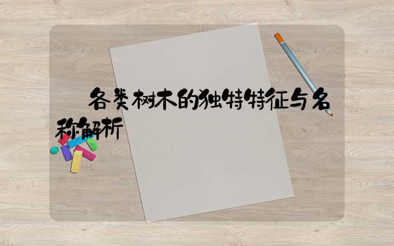  各类树木的独特特征与名称解析